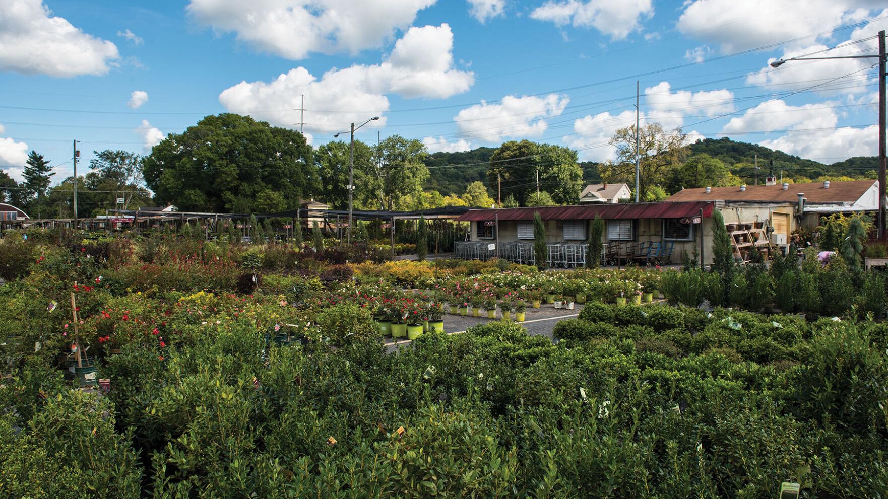 Bates Nursery and Garden Center